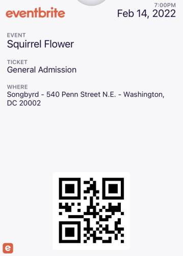 2022.02.14 Squirrel Flower and Lightning Bug
