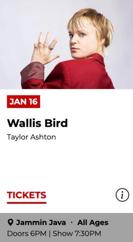 2023.01.16 Wallis Bird